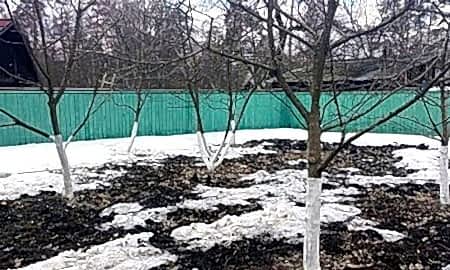 Снятие укрытий весной