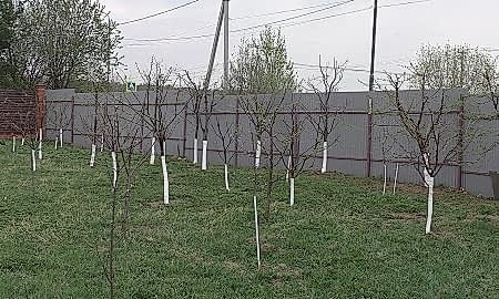 Уход за садом весной