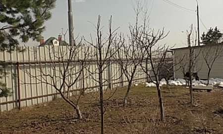 Обрезка сада в апреле